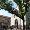 Den NE!závislosti 2015